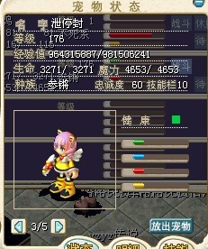 张柏芝1.jpg
