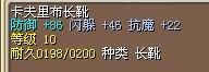 11骑闪靴 （8X）