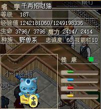 猫猫.jpg