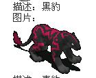 黑豹