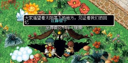 My Documents和至尊和H.jpg