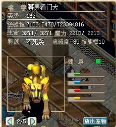 转生金狗9X