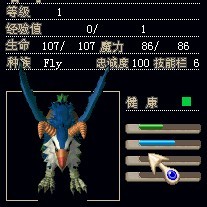 55.jpg