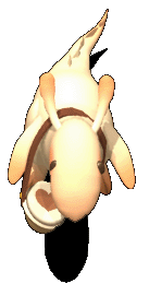 1234567.gif