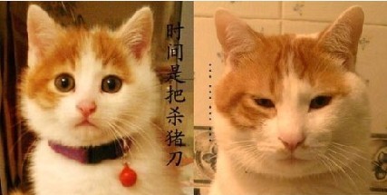 未命名.jpg