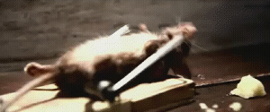 未命名.gif