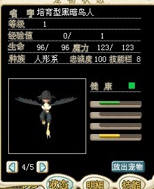 黑鸟1.jpg