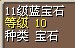 11蓝，10W（售完）