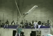 7.gif