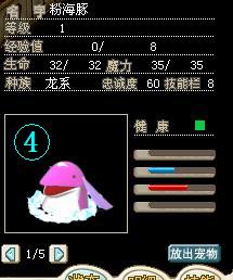 海豚