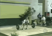 003.gif