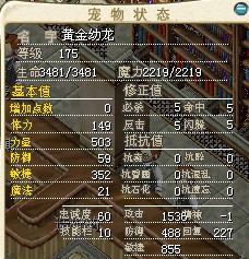 黄金龙.jpg