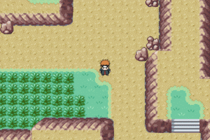 1010061213ea5ee8e5feff82de.gif