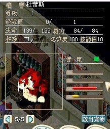 红 绿老虎