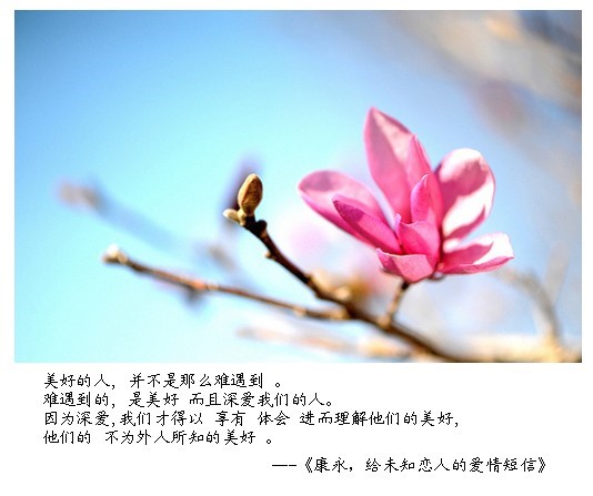 （九）康永，给未知恋人的爱情短信