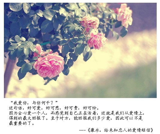 （三）康永，给未知恋人的爱情短信