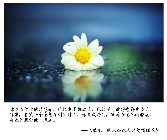 （一）康永，给未知恋人的爱情短信