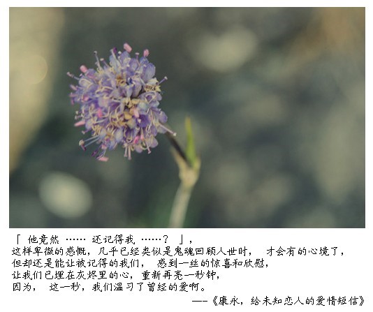 （八）康永，给未知恋人的爱情短信