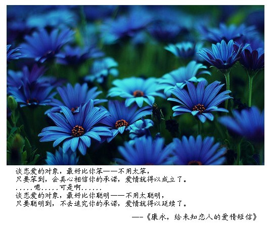 （十一）康永，给未知恋人的爱情短信