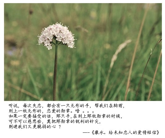 （十）康永，给未知恋人的爱情短信