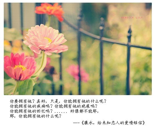 （四）康永，给未知恋人的爱情短信