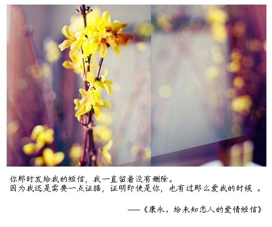 （十六）康永，给未知恋人的爱情短信