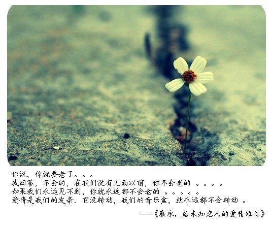 （十五）康永，给未知恋人的爱情短信