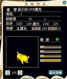 CM小猪.jpg