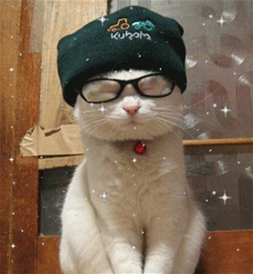 62037b5ajw6dbzanilbbhj_副本.gif
