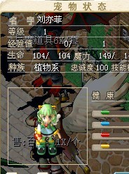 女星.jpg