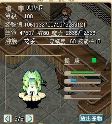 老虎.jpg