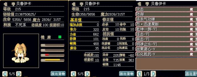 老虎.JPG