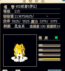 金虎1.jpg