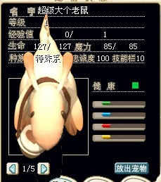 糖糖.jpg