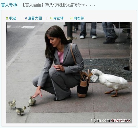 盗窃团伙.jpg