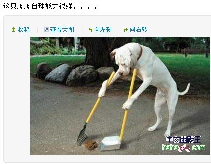 猫咪4.jpg