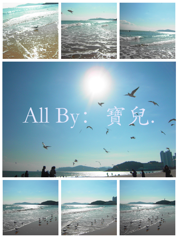 日光海岸與飛鳥
