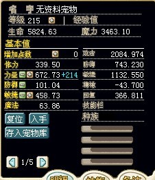 金虎3图.jpg