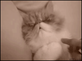 image20110304141152.gif
