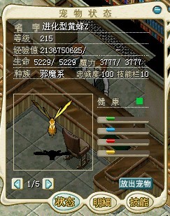 黄蜂2.jpg