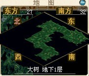 大树地下一层.jpg