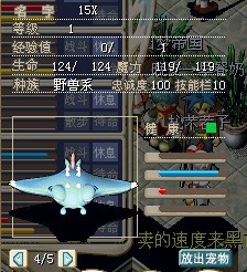 小飞鱼.jpg