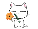 差距.gif