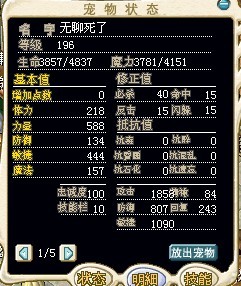 宠物.jpg