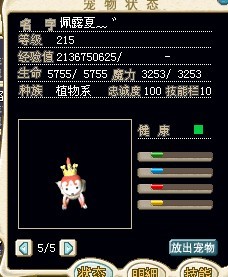 白虎.jpg