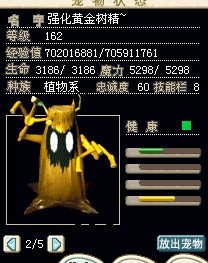 黄金树1.jpg