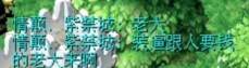 老大1.jpg