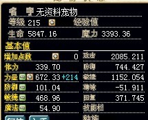 金虎.jpg