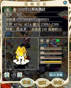 金虎1级.jpg