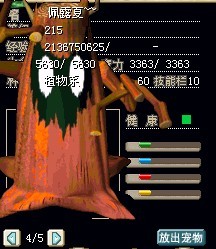 白虎.jpg